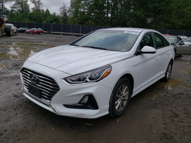 Photo 1 VIN: 5NPE24AF9KH730442 - HYUNDAI SONATA SE 