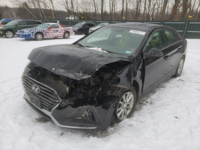 Photo 1 VIN: 5NPE24AF9KH748729 - HYUNDAI SONATA 