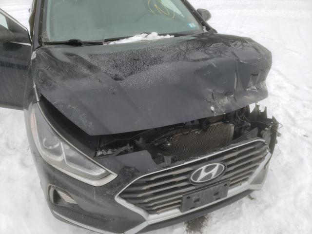 Photo 8 VIN: 5NPE24AF9KH748729 - HYUNDAI SONATA 