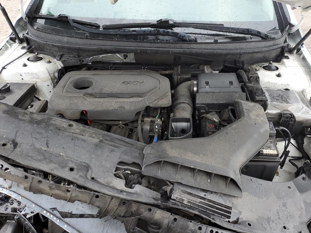 Photo 10 VIN: 5NPE24AF9KH781097 - HYUNDAI SONATA 