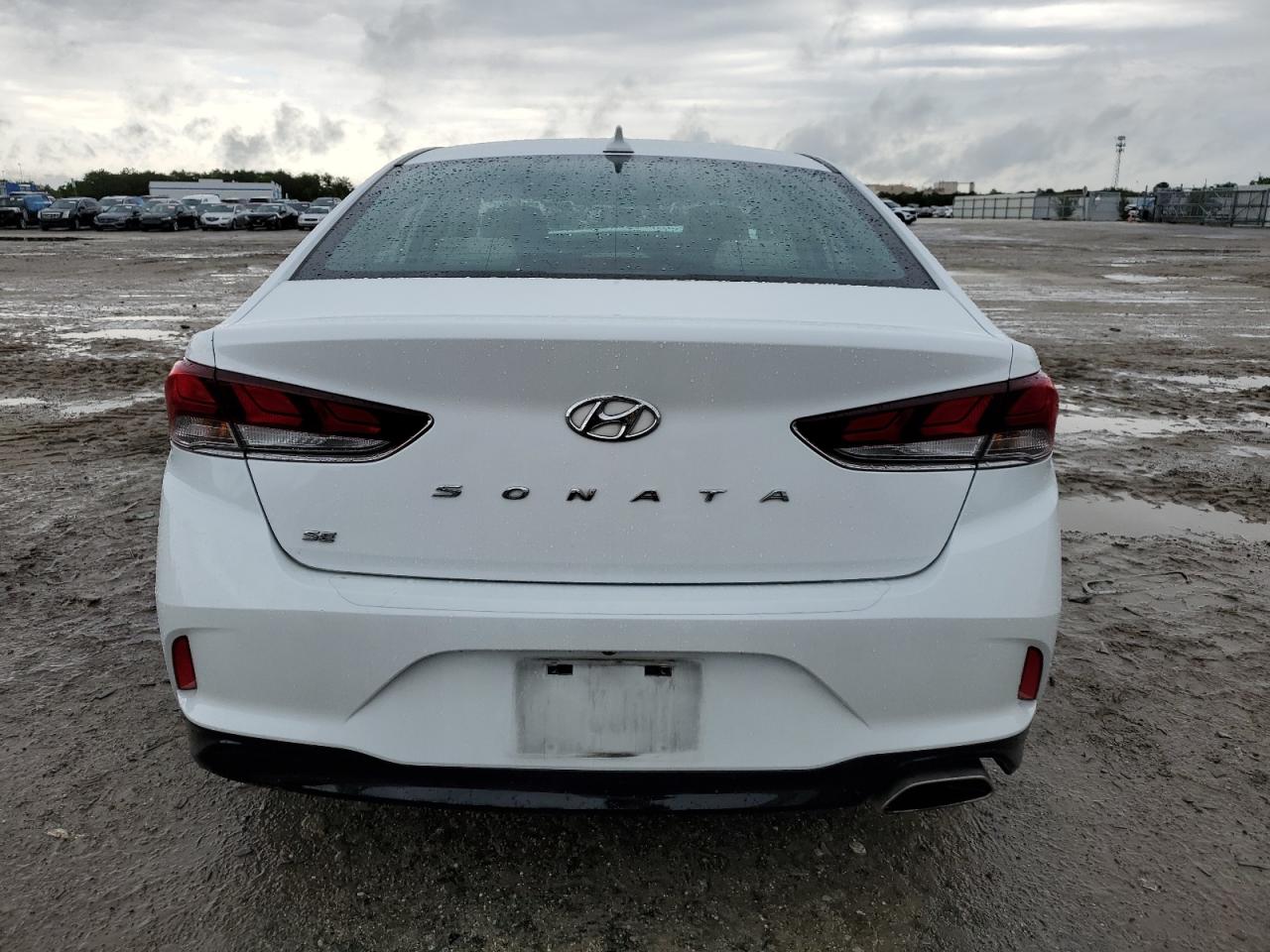 Photo 5 VIN: 5NPE24AF9KH781097 - HYUNDAI SONATA 