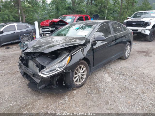 Photo 1 VIN: 5NPE24AF9KH781312 - HYUNDAI SONATA 