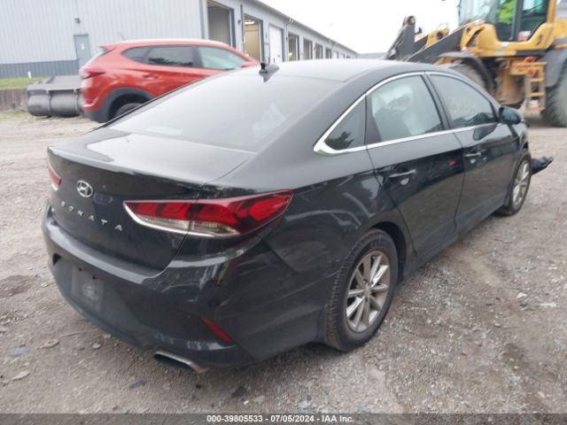 Photo 3 VIN: 5NPE24AF9KH781312 - HYUNDAI SONATA 