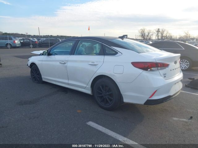 Photo 2 VIN: 5NPE24AF9KH801669 - HYUNDAI SONATA 