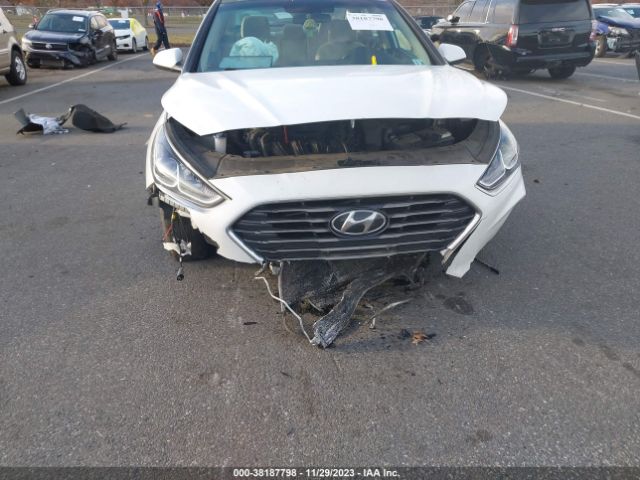 Photo 5 VIN: 5NPE24AF9KH801669 - HYUNDAI SONATA 