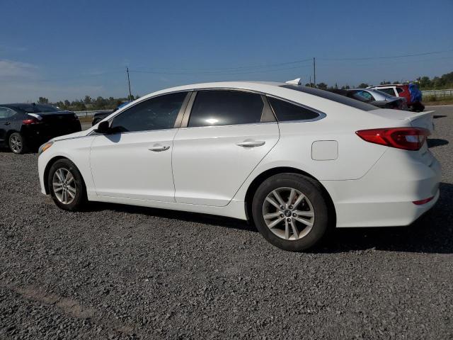 Photo 1 VIN: 5NPE24AFXFH044402 - HYUNDAI SONATA SE 