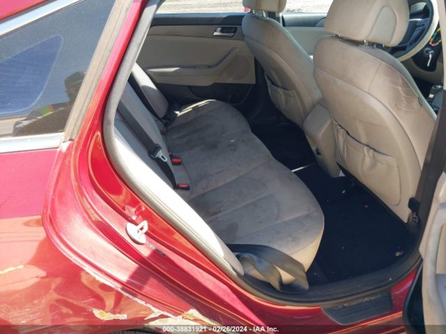 Photo 7 VIN: 5NPE24AFXFH075004 - HYUNDAI SONATA 