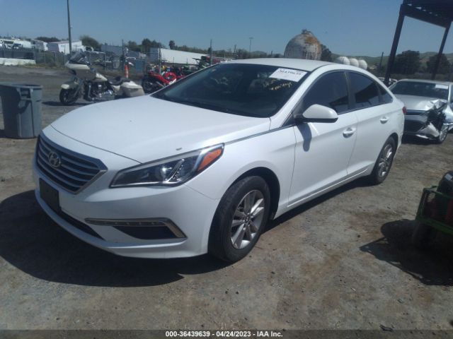 Photo 1 VIN: 5NPE24AFXFH138845 - HYUNDAI SONATA 