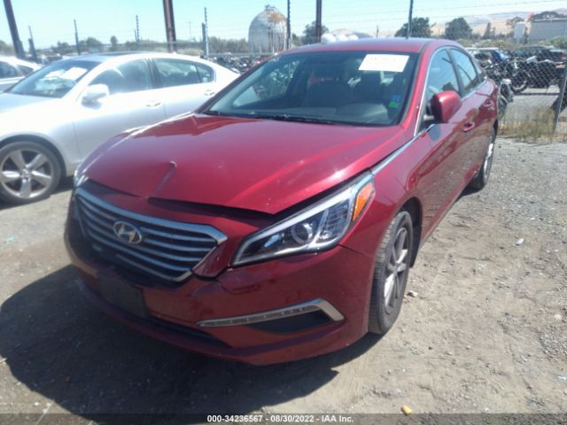 Photo 5 VIN: 5NPE24AFXFH153524 - HYUNDAI SONATA 