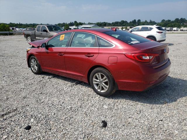 Photo 1 VIN: 5NPE24AFXFH206545 - HYUNDAI SONATA SE 