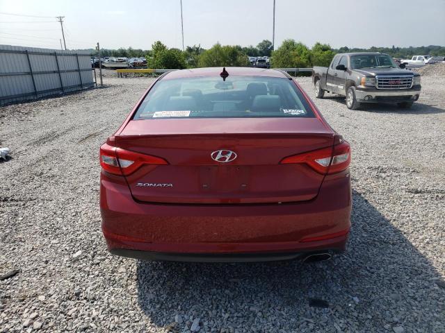 Photo 5 VIN: 5NPE24AFXFH206545 - HYUNDAI SONATA SE 