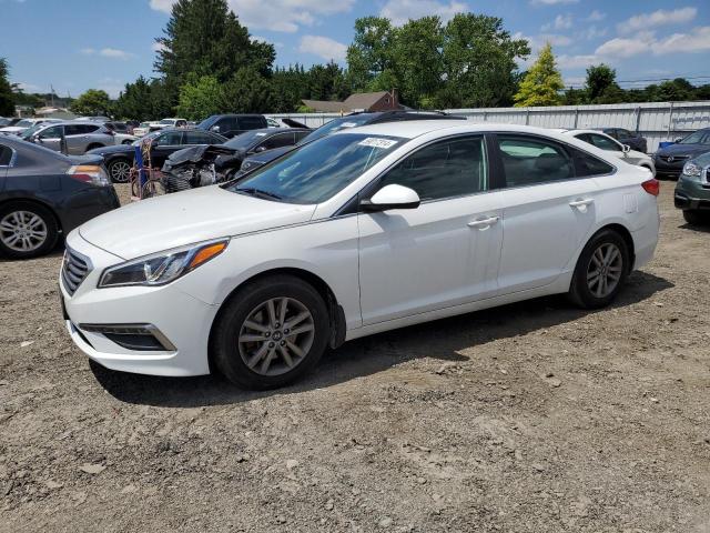 Photo 0 VIN: 5NPE24AFXFH224186 - HYUNDAI SONATA 