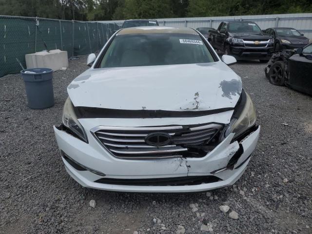 Photo 4 VIN: 5NPE24AFXFH228397 - HYUNDAI SONATA SE 