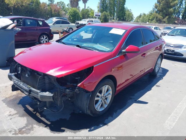 Photo 1 VIN: 5NPE24AFXFH250240 - HYUNDAI SONATA 