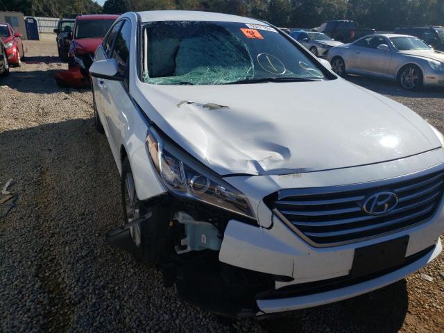 Photo 8 VIN: 5NPE24AFXGH269503 - HYUNDAI SONATA SE 