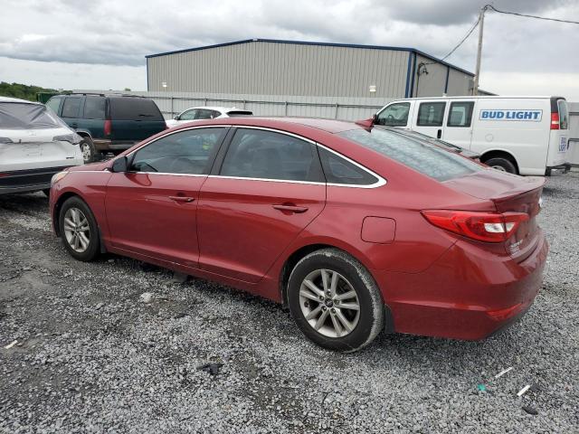 Photo 1 VIN: 5NPE24AFXGH301933 - HYUNDAI SONATA 