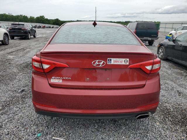 Photo 5 VIN: 5NPE24AFXGH301933 - HYUNDAI SONATA 