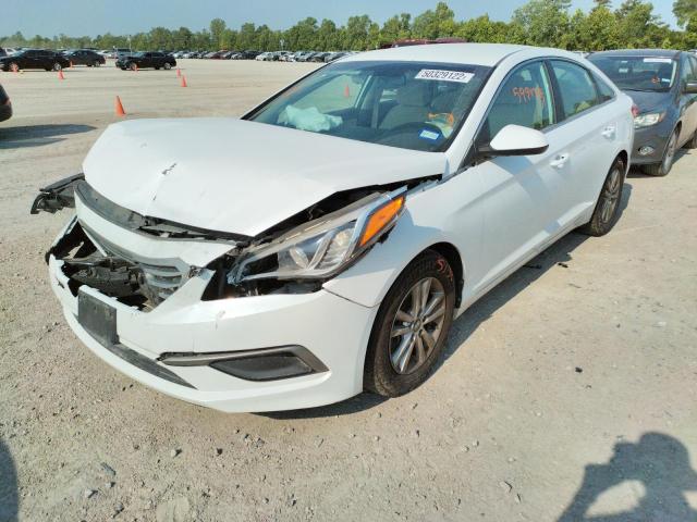 Photo 1 VIN: 5NPE24AFXGH313676 - HYUNDAI SONATA SE 