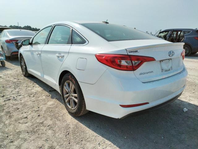 Photo 2 VIN: 5NPE24AFXGH313676 - HYUNDAI SONATA SE 