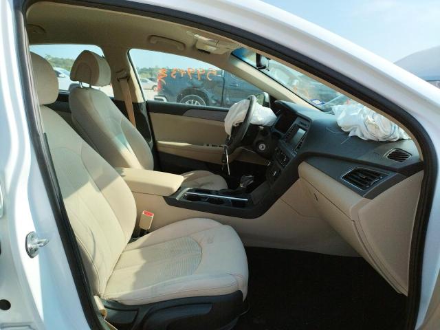 Photo 4 VIN: 5NPE24AFXGH313676 - HYUNDAI SONATA SE 