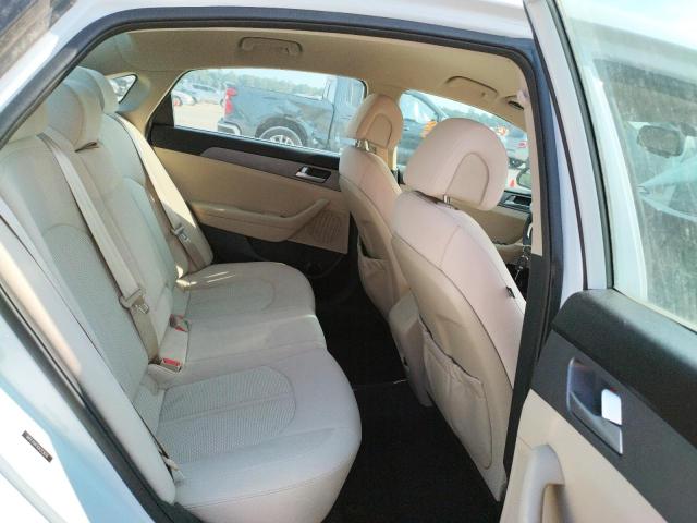 Photo 5 VIN: 5NPE24AFXGH313676 - HYUNDAI SONATA SE 