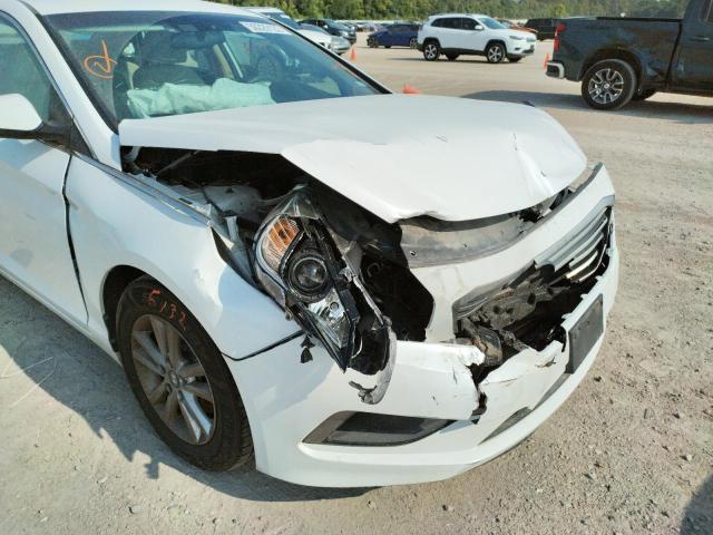 Photo 8 VIN: 5NPE24AFXGH313676 - HYUNDAI SONATA SE 