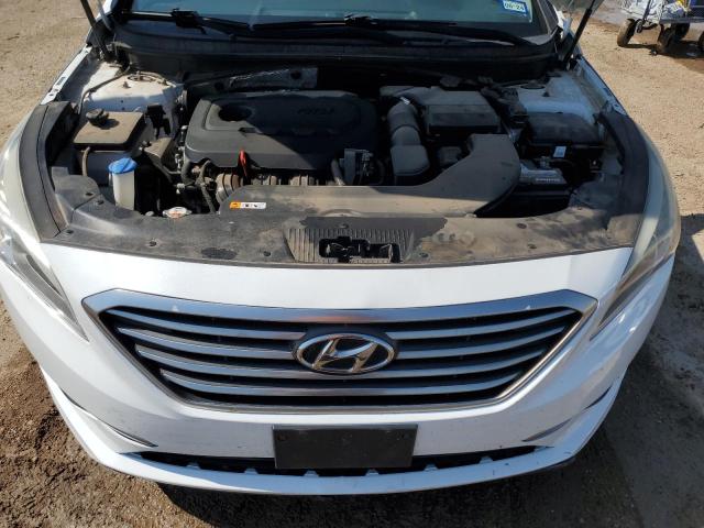 Photo 10 VIN: 5NPE24AFXGH316111 - HYUNDAI SONATA SE 