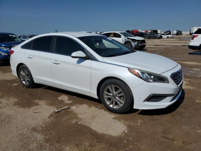 Photo 3 VIN: 5NPE24AFXGH316111 - HYUNDAI SONATA SE 