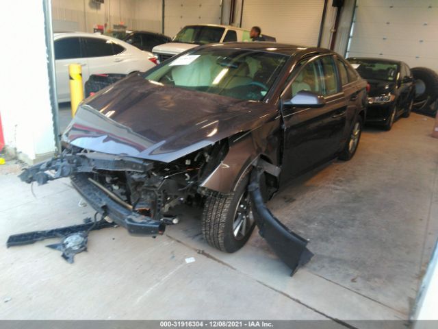 Photo 1 VIN: 5NPE24AFXGH320790 - HYUNDAI SONATA 