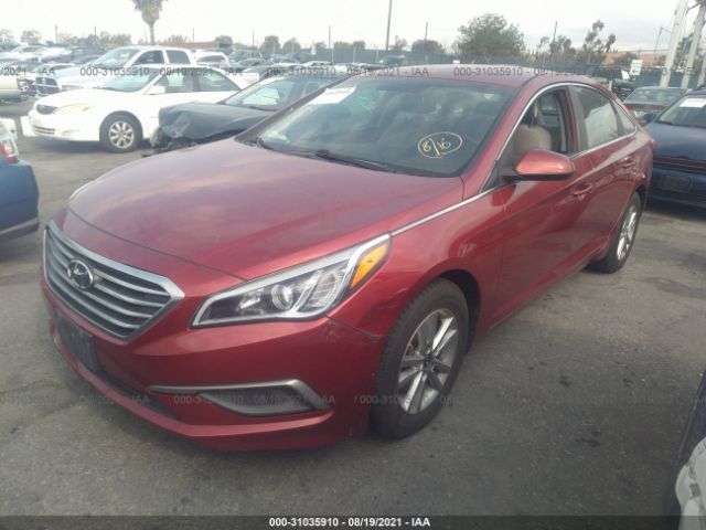 Photo 1 VIN: 5NPE24AFXGH331000 - HYUNDAI SONATA 