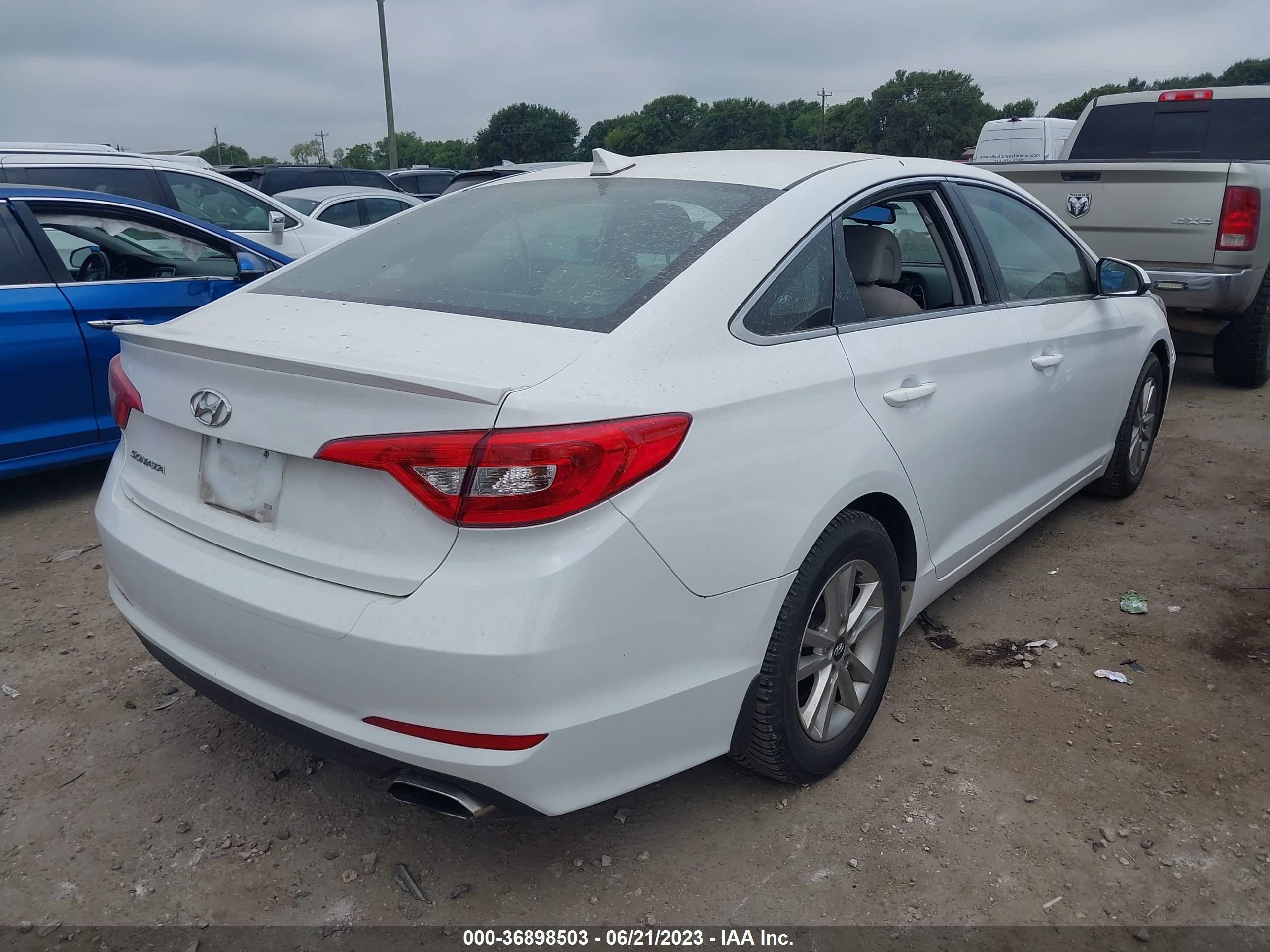 Photo 3 VIN: 5NPE24AFXGH337685 - HYUNDAI SONATA 