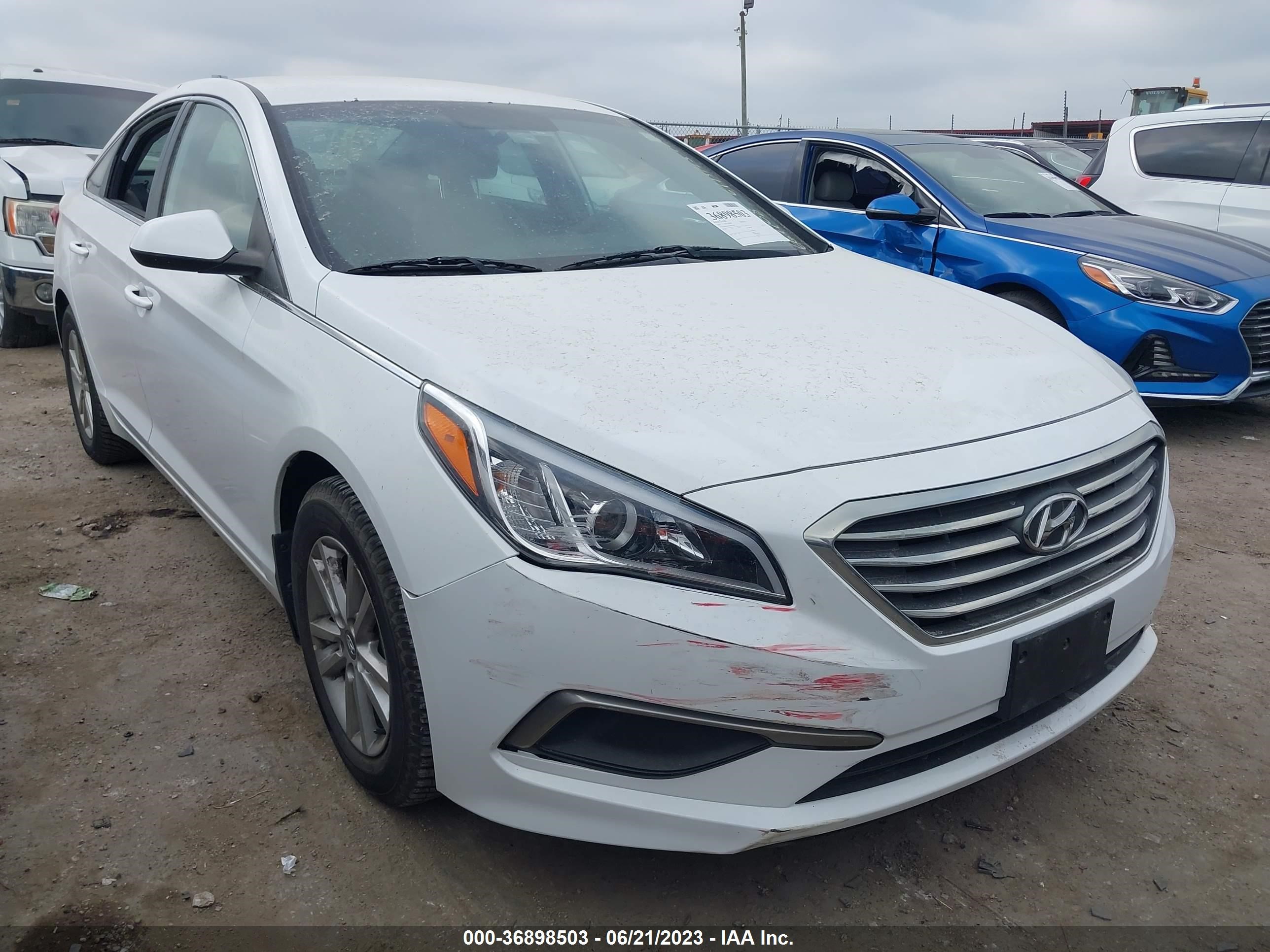 Photo 5 VIN: 5NPE24AFXGH337685 - HYUNDAI SONATA 