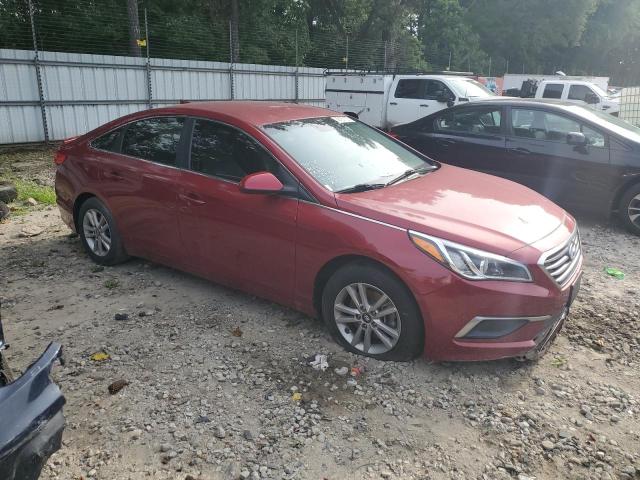 Photo 3 VIN: 5NPE24AFXGH362179 - HYUNDAI SONATA 