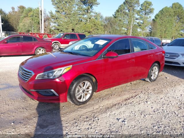 Photo 1 VIN: 5NPE24AFXGH364885 - HYUNDAI SONATA 