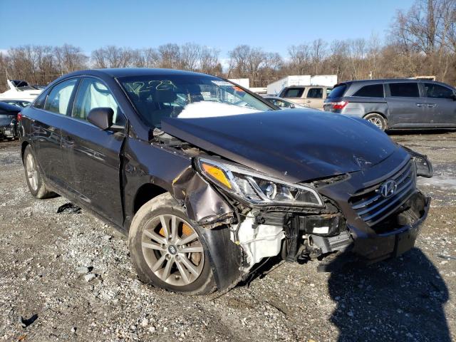 Photo 0 VIN: 5NPE24AFXGH379922 - HYUNDAI SONATA SE 