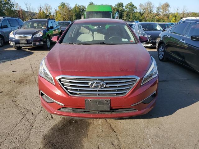 Photo 4 VIN: 5NPE24AFXGH386434 - HYUNDAI SONATA SE 