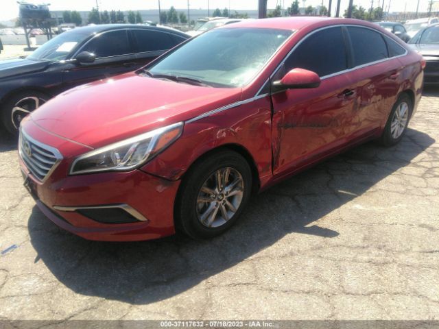 Photo 1 VIN: 5NPE24AFXGH388913 - HYUNDAI SONATA 