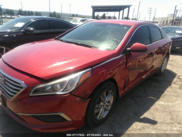 Photo 5 VIN: 5NPE24AFXGH388913 - HYUNDAI SONATA 