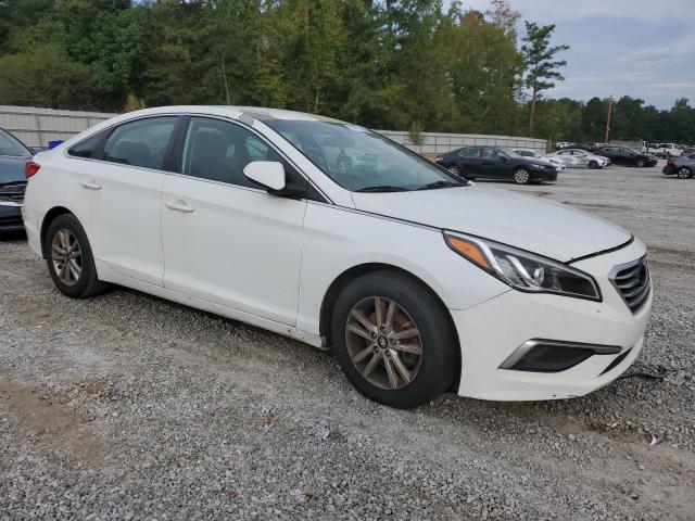 Photo 3 VIN: 5NPE24AFXGH405175 - HYUNDAI SONATA SE 