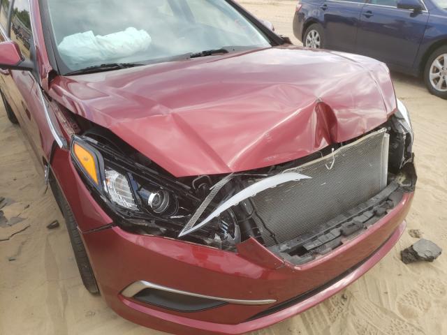 Photo 8 VIN: 5NPE24AFXGH415186 - HYUNDAI SONATA 