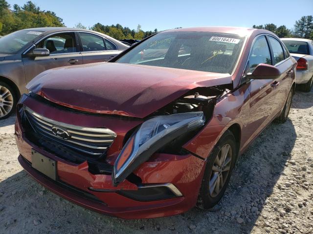 Photo 1 VIN: 5NPE24AFXGH421781 - HYUNDAI SONATA SE 