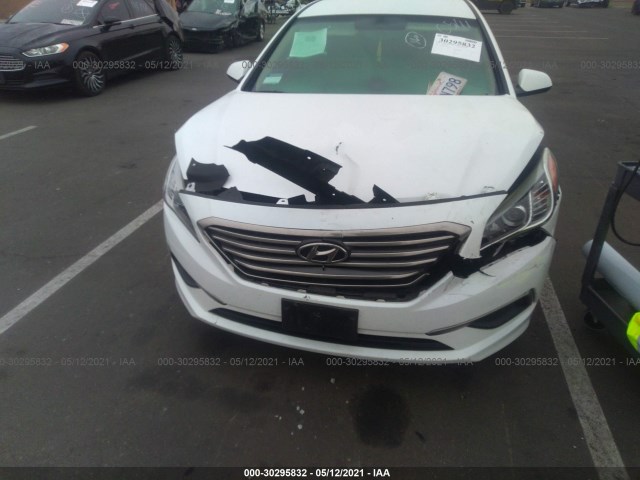 Photo 5 VIN: 5NPE24AFXGH436541 - HYUNDAI SONATA 