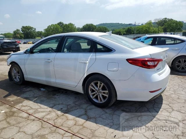 Photo 1 VIN: 5NPE24AFXHH442910 - HYUNDAI SONATA 