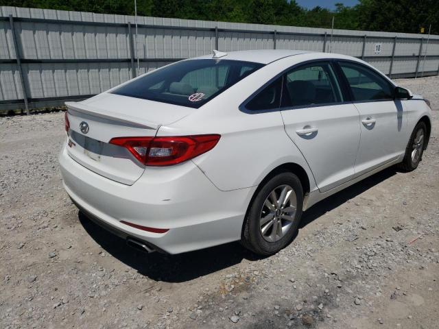 Photo 3 VIN: 5NPE24AFXHH444592 - HYUNDAI SONATA SE 