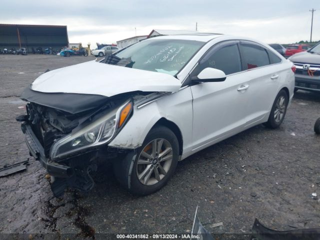 Photo 1 VIN: 5NPE24AFXHH504404 - HYUNDAI SONATA 