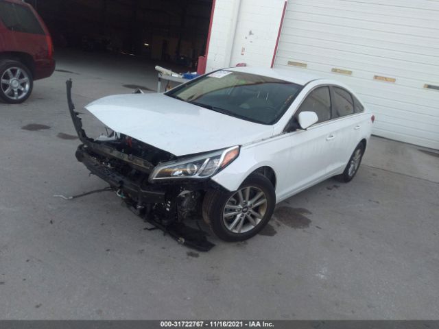 Photo 1 VIN: 5NPE24AFXHH516343 - HYUNDAI SONATA 