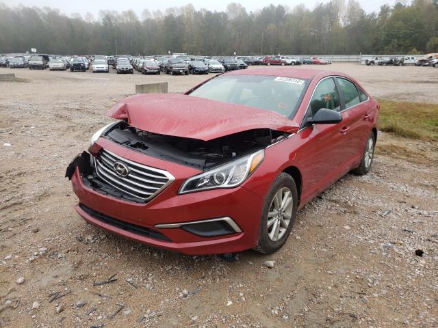 Photo 1 VIN: 5NPE24AFXHH516553 - HYUNDAI SONATA 