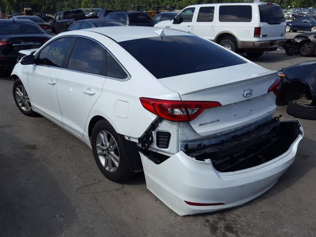 Photo 2 VIN: 5NPE24AFXHH516729 - HYUNDAI SONATA SE 