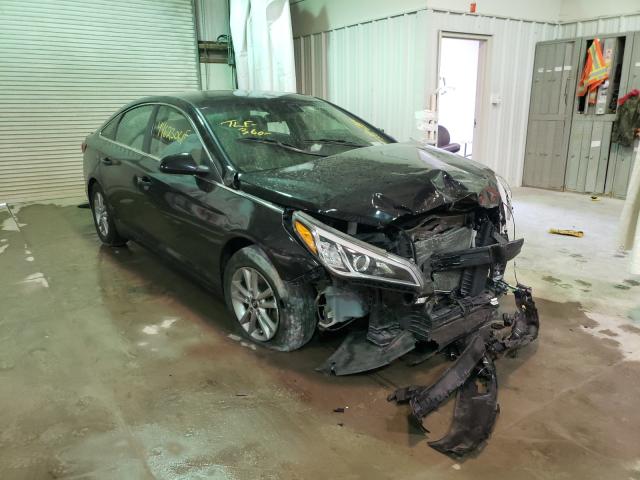 Photo 0 VIN: 5NPE24AFXHH519677 - HYUNDAI SONATA SE 