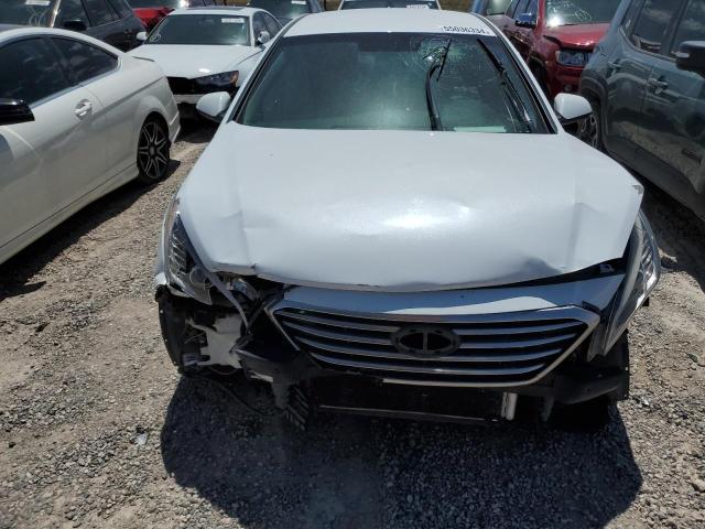 Photo 4 VIN: 5NPE24AFXHH521025 - HYUNDAI SONATA 